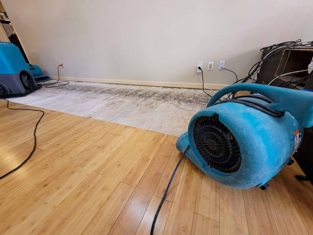 Professional Structural Drying technician working in Butner, NC